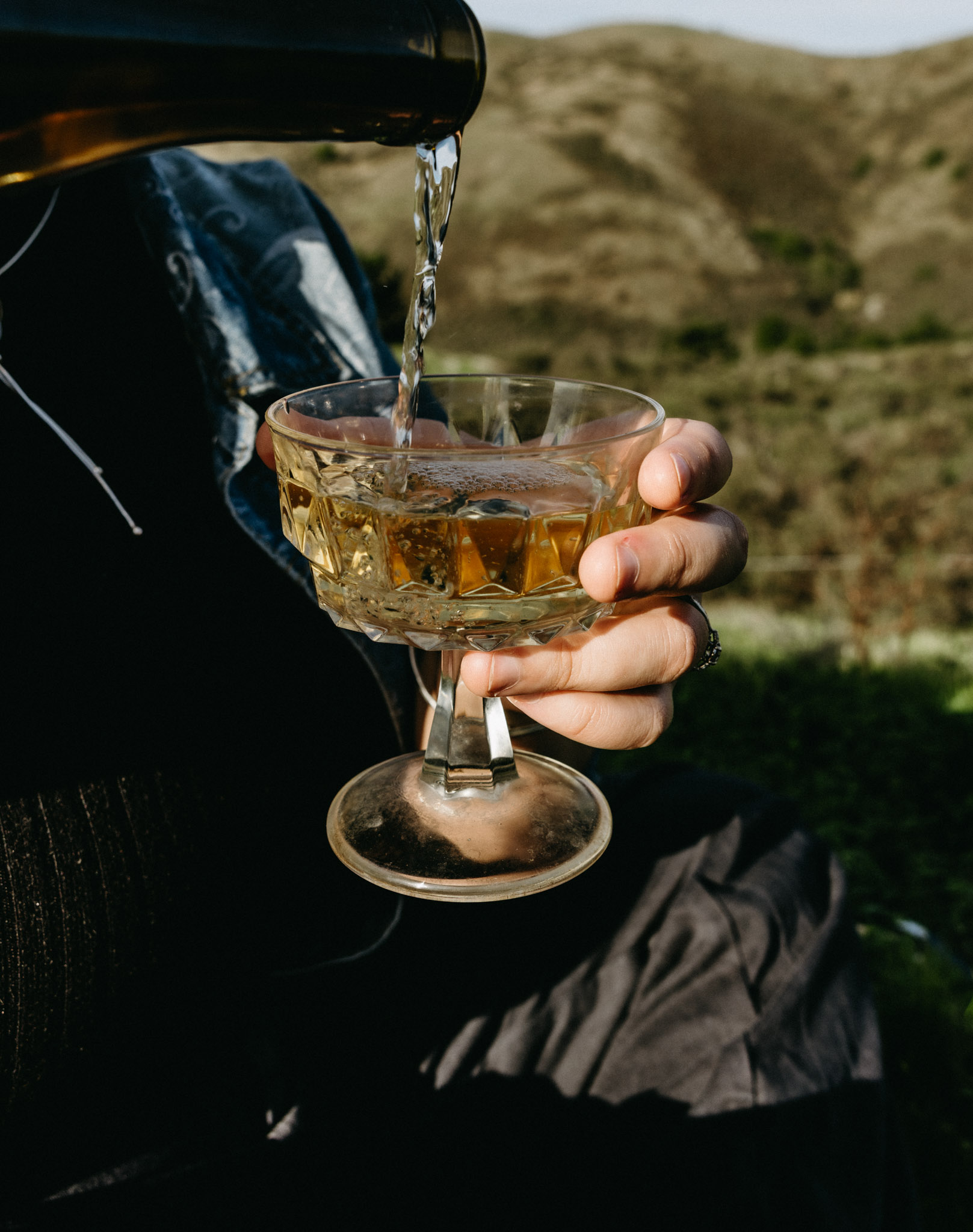 Sunny Mitchell portrait